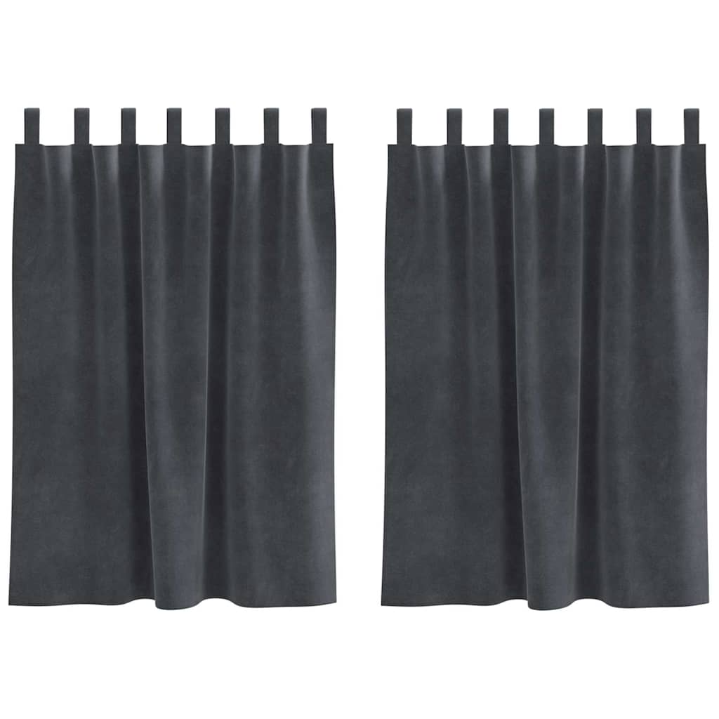 Vidaxl Verdunkelungsvorhänge 2 Stück hellgrau 140 x 140 cm Samt