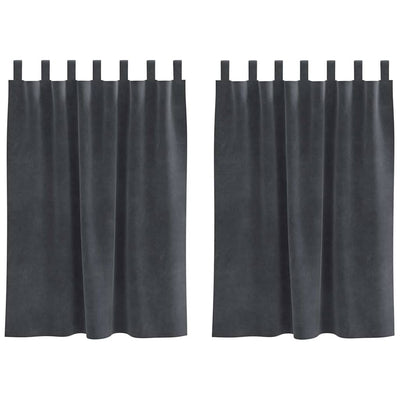 Vidaxl Verdunkelungsvorhänge 2 Stück hellgrau 140 x 140 cm Samt