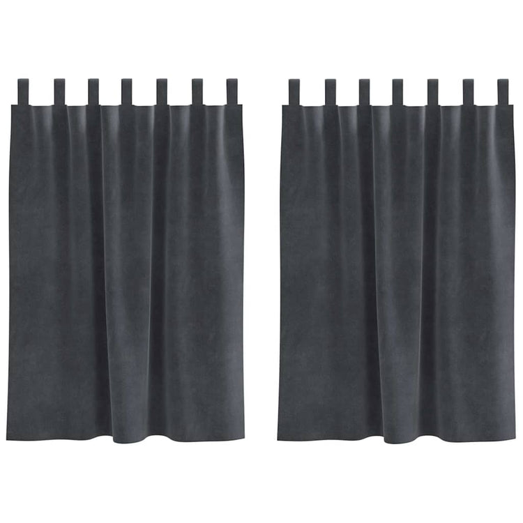 Vidaxl Verdunkelungsvorhänge 2 Stück hellgrau 140 x 140 cm Samt