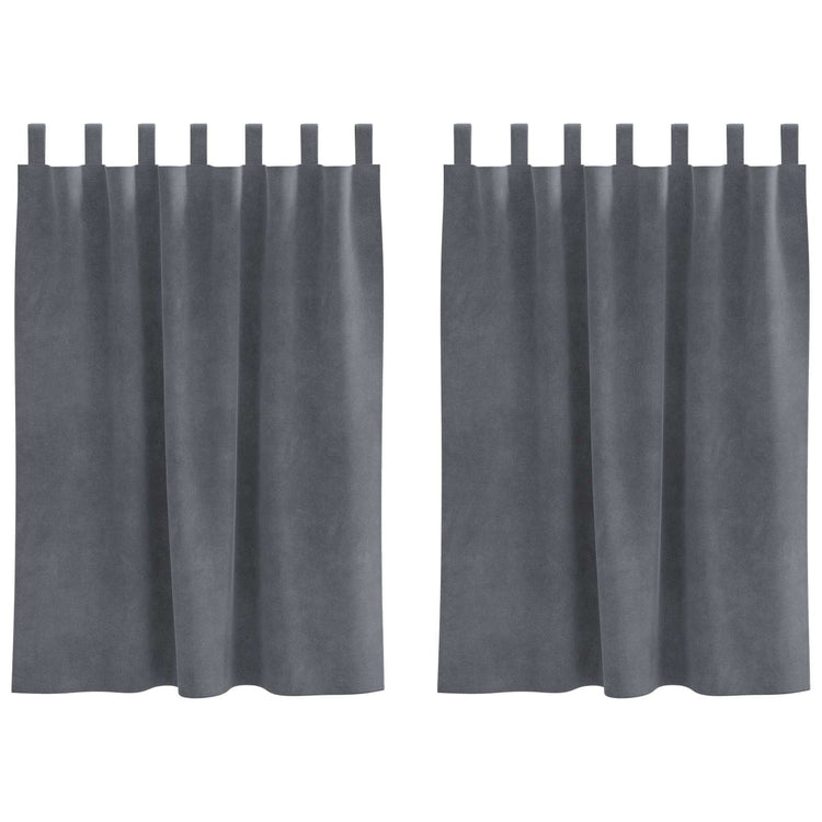Vidaxl Verdunkelungsvorhänge 2 Stück hellgrau 140 x 140 cm Samt