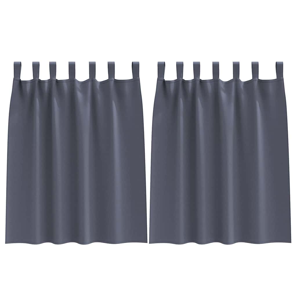 Vidaxl Verdunkelungsvorhänge mit Ringen 2 Stück Anthrazit 140 x 140 cm