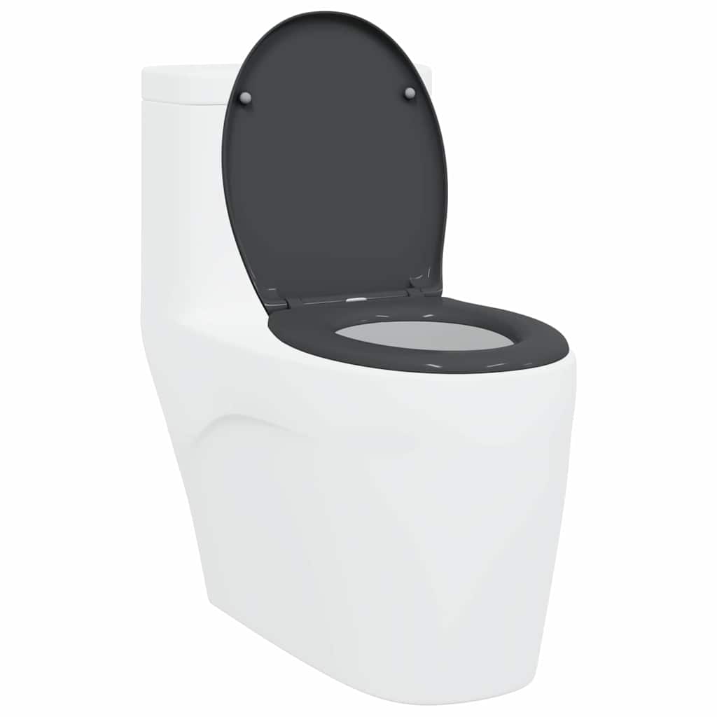 Vidaxl WC-Sitz Anthrazit 47 x 37 x 4 cm Duroplast