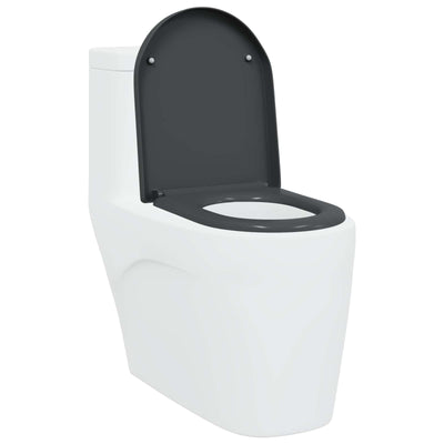 Vidaxl WC-Sitz Anthrazit 49 x 36 x 4 cm Duroplast
