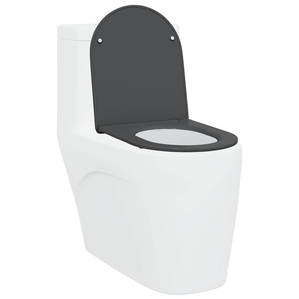 Vidaxl WC-Sitz Anthrazit 47 x 36 x 3,4 cm Duroplast