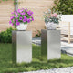 VidaXL Pflanzenständer 2 Stk. Silber 24 x 24 x 55 cm