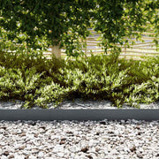Vidaxl Gartenkante 50 Stück Anthrazit 100 x 0,05 x 20 cm kaltgewalzter Stahl - afbeelding 3