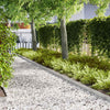 Vidaxxl Gartenkante 10 Stück Silber 100 x 0,05 x 20 cm Edelstahl