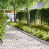 Vidaxl Gartenkante 50 Stück Silber 100 x 0,05 x 20 cm verzinkter Stahl