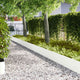 Vidaxl Gartenkante 20 Stück weiß 100 x 0,05 x 20 cm kaltgewalzter Stahl