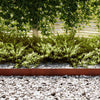 Vidaxl Gartenkante 20 Stück braun 100 x 0,05 x 20 cm Cortenstahl