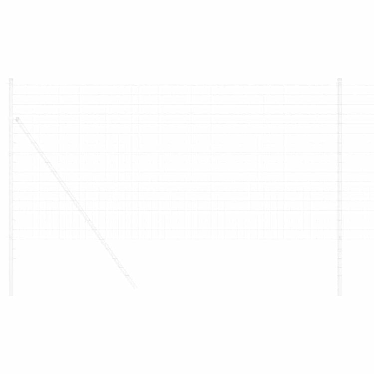 Vidaxx Eurozaun 1 x 10 m PVC-beschichtetes Eisen