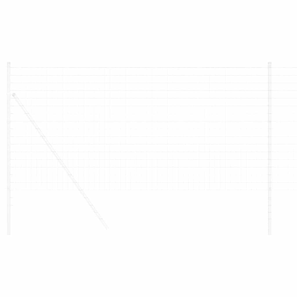 Vidaxx Eurozaun 1,4 x 10 m PVC-beschichtetes Eisen