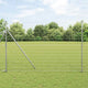 Vidaxx Eurozaun 1,6 x 10 m PVC-beschichtetes Eisen