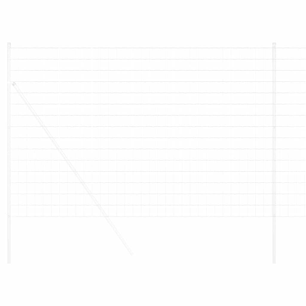 Vidaxx Eurozaun 1,6 x 10 m PVC-beschichtetes Eisen