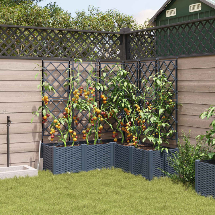 Vidaxxl Gartenblumentopf 5 Stück grau 120 x 120 x 143 cm Stahl