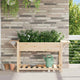 Vidaxxl Gartenblumentopf Beige 155 x 59 x 76,5 cm massives Kiefernholz