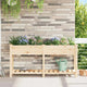 Vidaxl Gartenblumentopf Beige 161,5 x 45 x 76,5 cm massives Kiefernholz