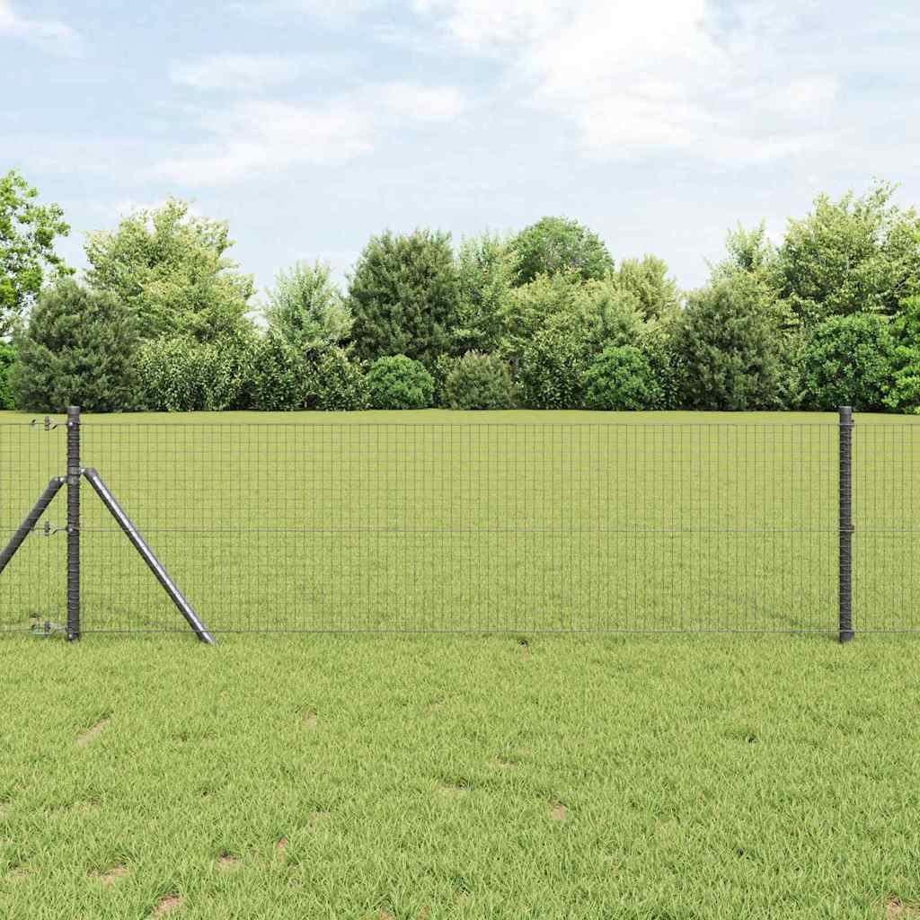 Vidaxl Schweißdrahtzaun grau 0,8 x 100 m