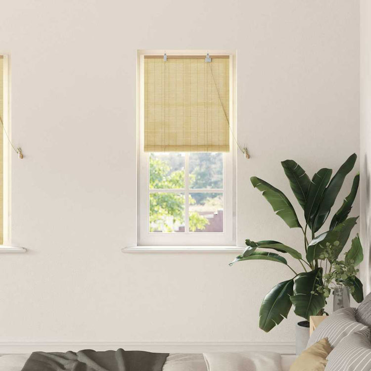 Vidaxxl Rollo mit Vorhängen Natur 60 x 160 cm Bambus