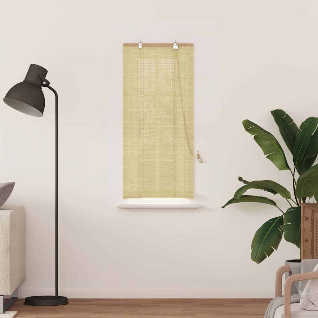 Vidaxxl Rollo mit Vorhängen Natur 60 x 160 cm Bambus