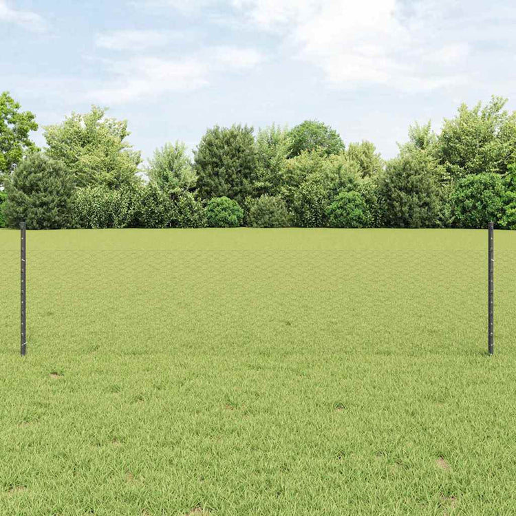 Vidaxxl Zaun mit Pfosten grau 0,5 x 25 m Stahl