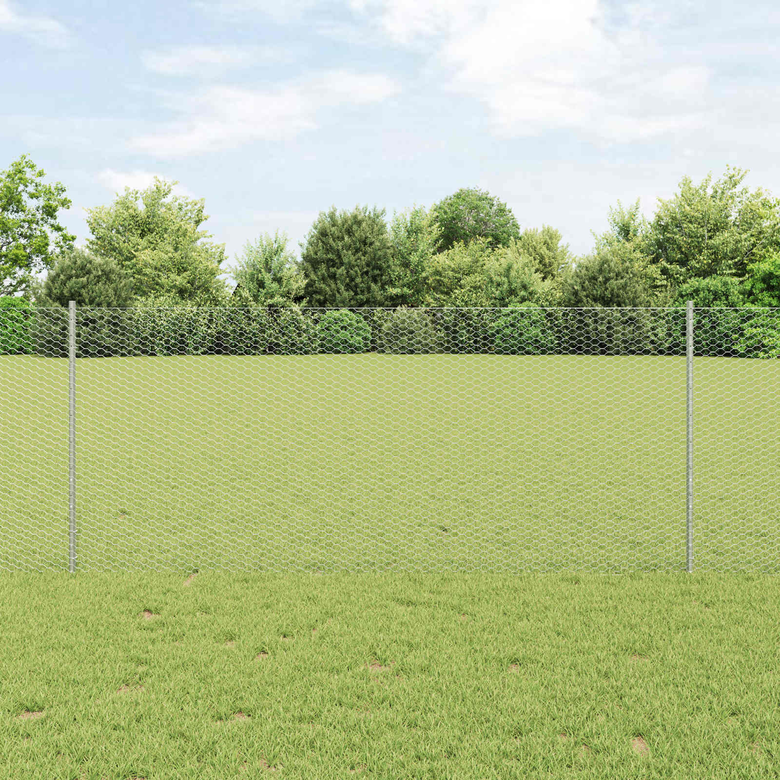 Vidaxxl Zaun mit Pfosten Silber 1 x 25 m Stahl