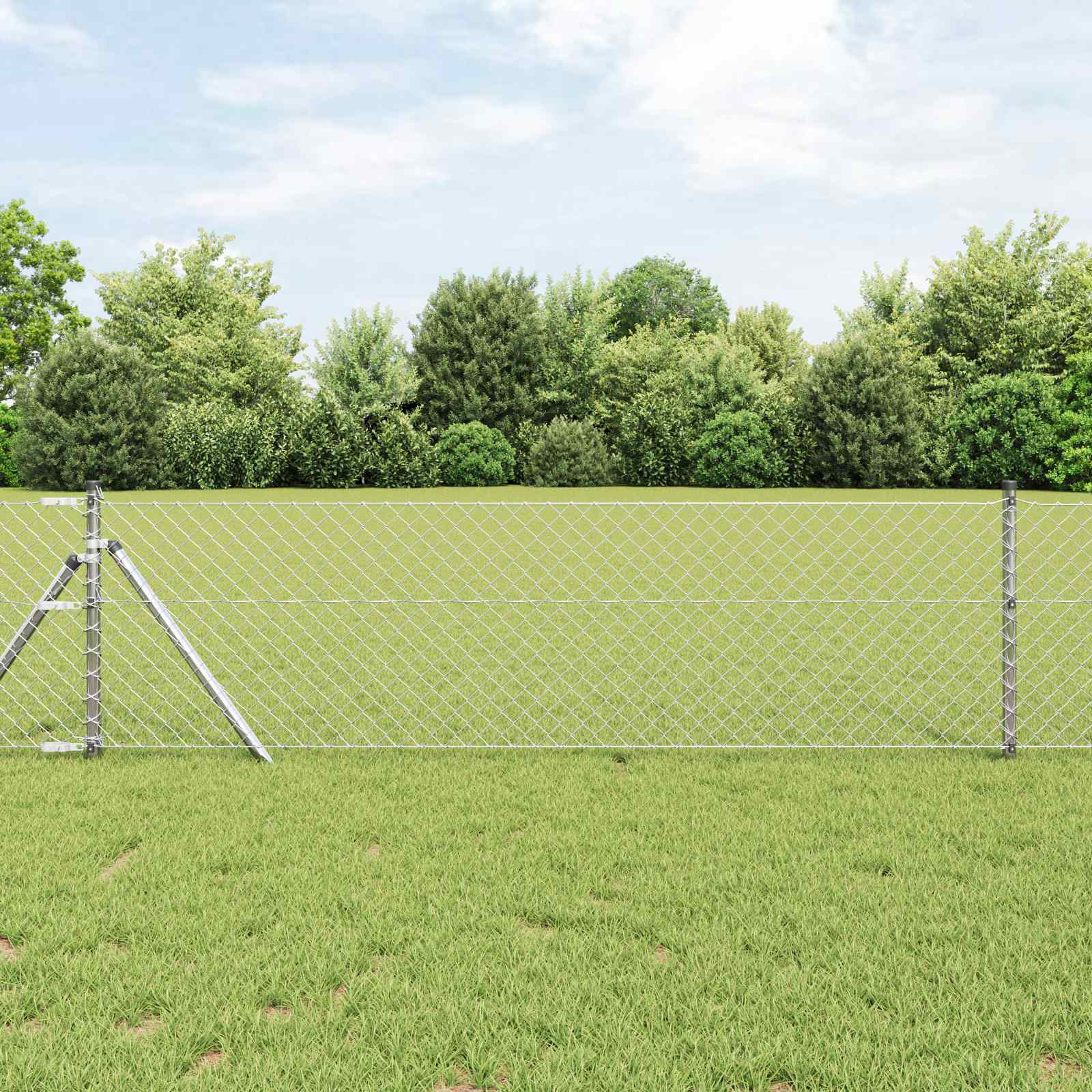Vidaxl Maschendrahtzaun Silber 10 x 0,6 m aus verzinktem Stahl
