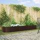 Vidaxx Hochbeet braun 320 x 80 x 44 cm Stahl