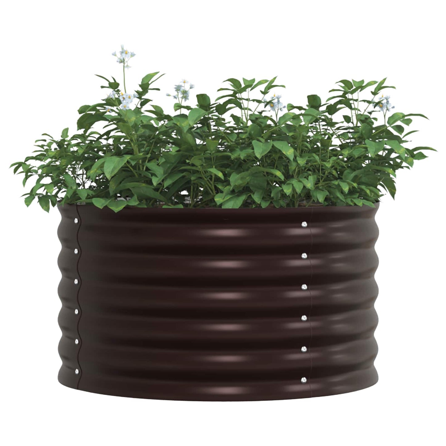 Vidaxx Hochbeet braun 80 x 80 x 44 cm Stahl