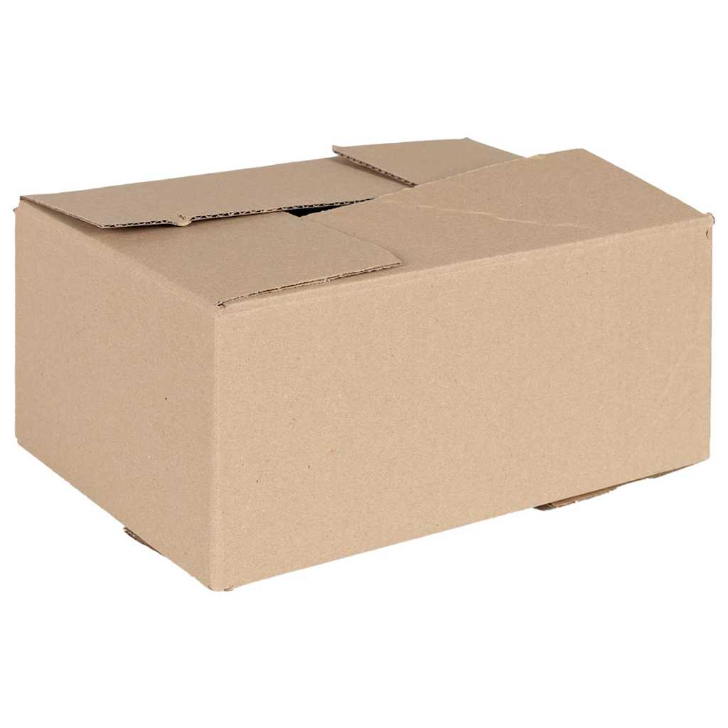 Vidaxx Faltschachtel mit Aufbewahrung 50 Stück Natur 30 x 21,5 x 14 cm Karton