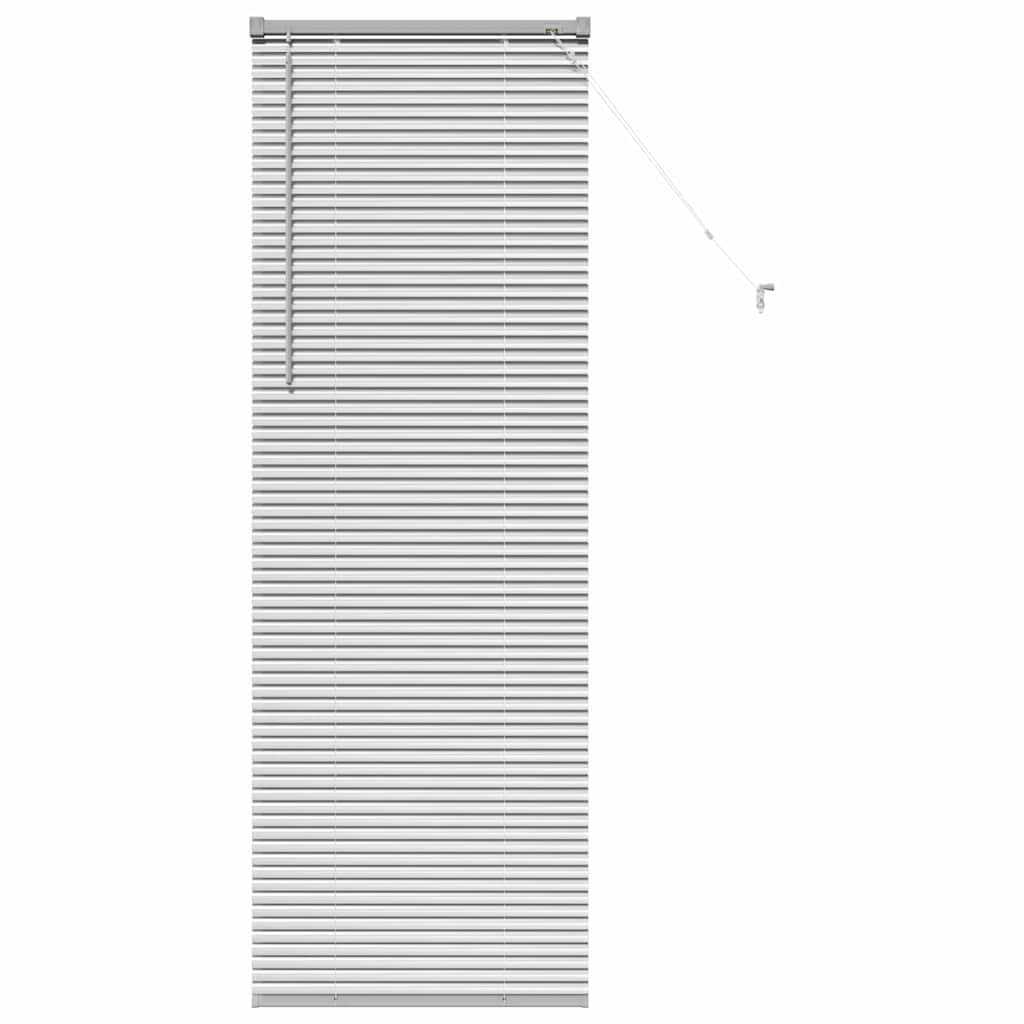 Vidaxx Jalousien Silber 175 x 60 cm Aluminium