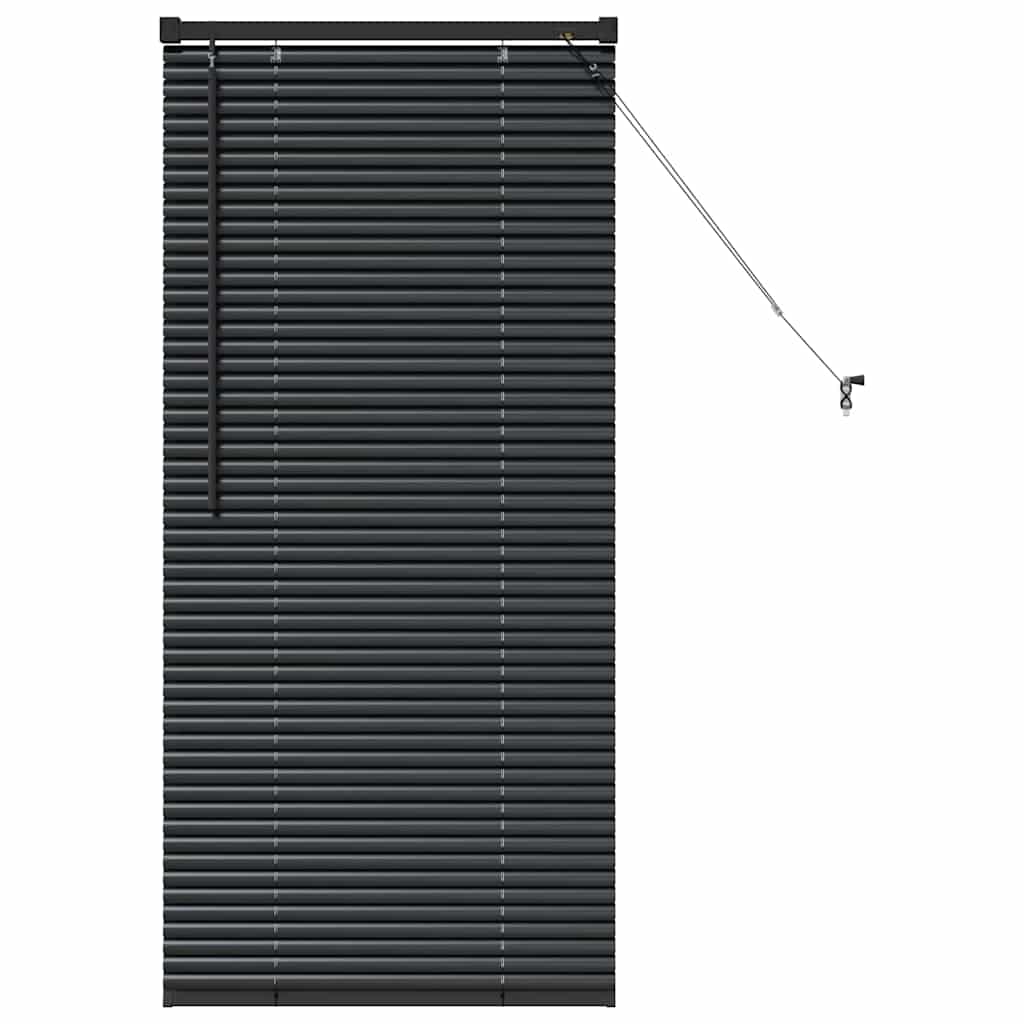 Vidaxx Jalousien Schwarz 60 x 2,5 x 130 cm Aluminium