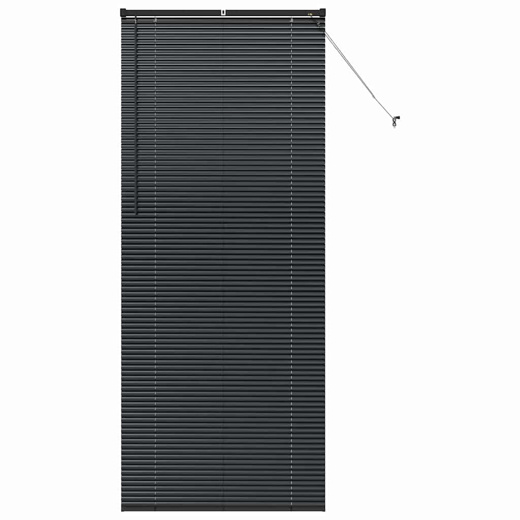 Vidaxx Jalousien Schwarz 220 x 95 cm Aluminium