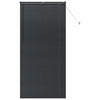 Vidaxx Jalousien Schwarz 220 x 105 cm Aluminium