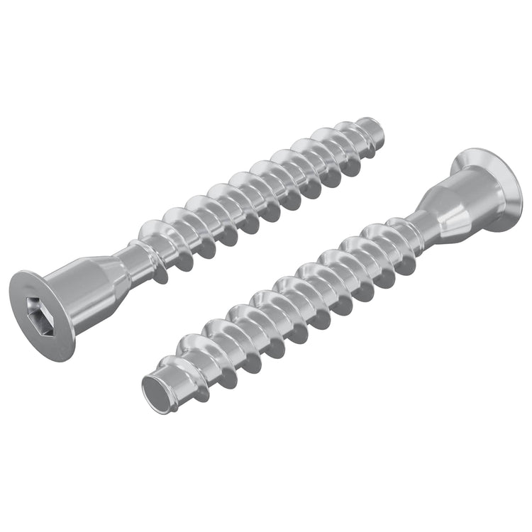 Vidaxx Befestigungsschrauben 2 Stück Silber ø7 x 50 mm Metall