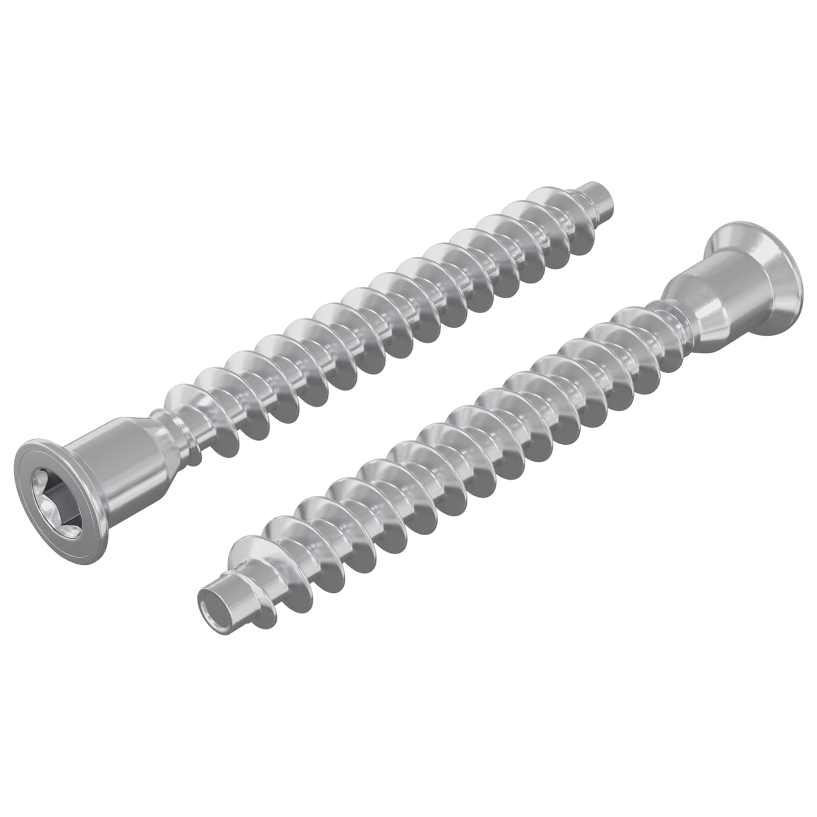Vidaxx Befestigungsschrauben 2 Stück Silber ø7 x 58 mm Metall