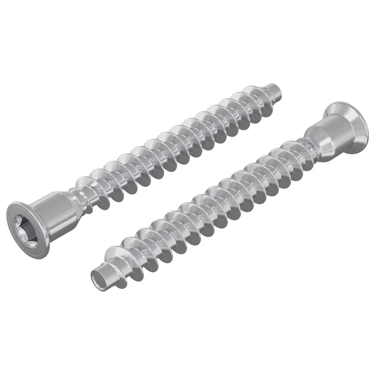 Vidaxx Befestigungsschrauben 2 Stück Silber ø7 x 58 mm Metall