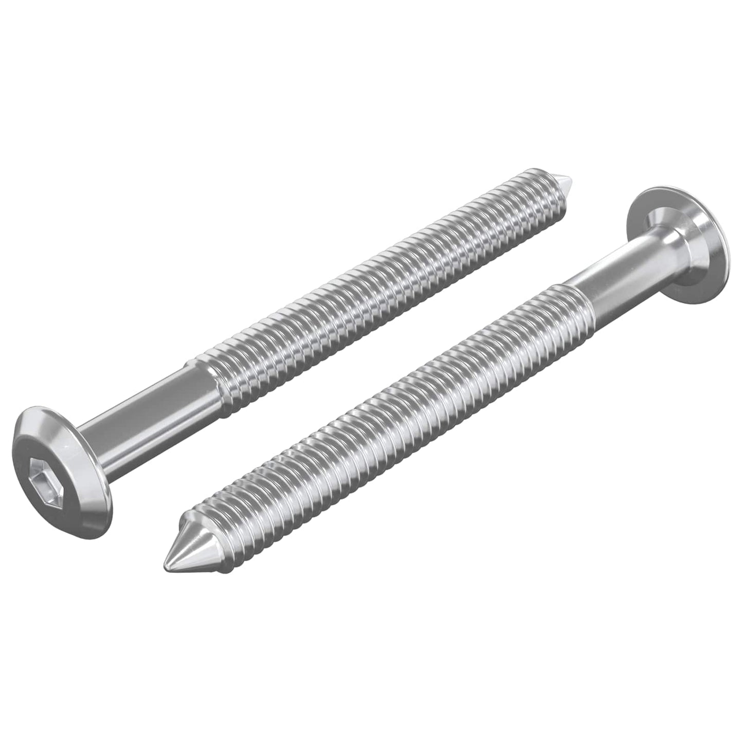 Vidaxxl Möbelschrauben 2 Stück Silber M6 x 60 mm Stahl