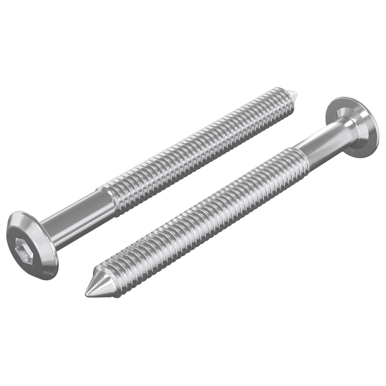 Vidaxxl Möbelschrauben 2 Stück Silber M6 x 60 mm Stahl