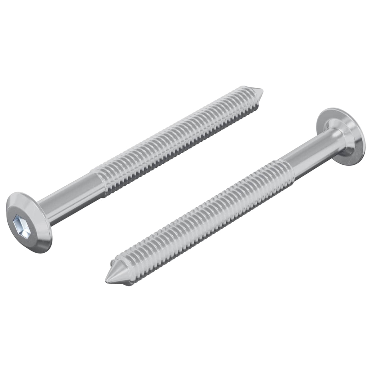 Vidaxl-Schraube 2 Stück Silber M6 x 60 mm Stahl