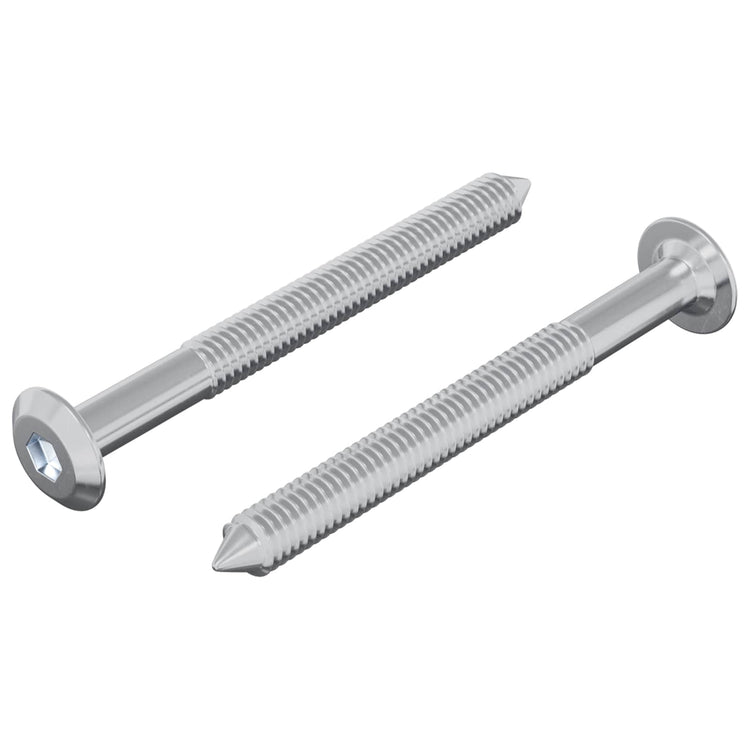 Vidaxl-Schraube 2 Stück Silber M6 x 60 mm Stahl