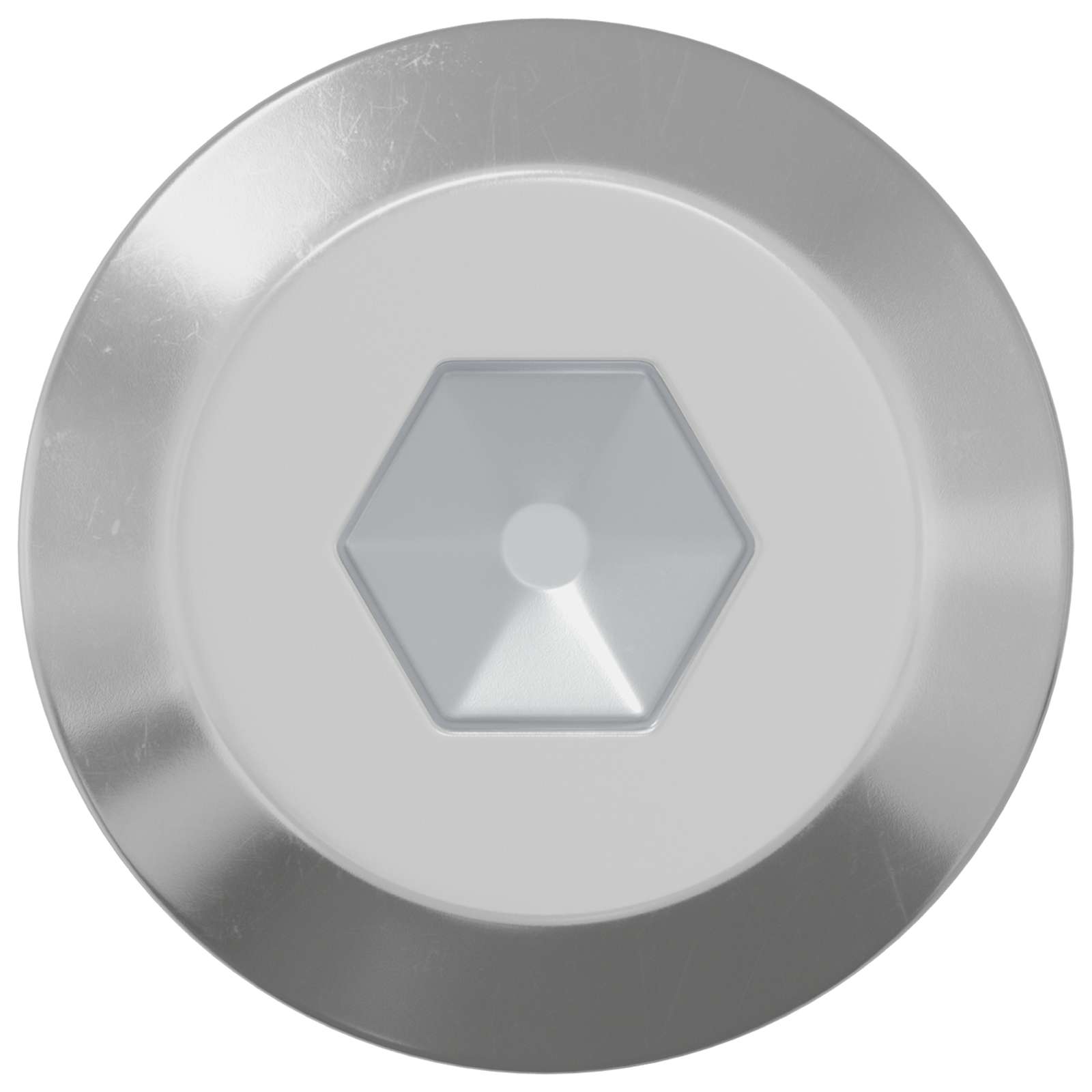 Vidaxxl Bolzen 12 Stück Silber M6 x 60 mm Stahl