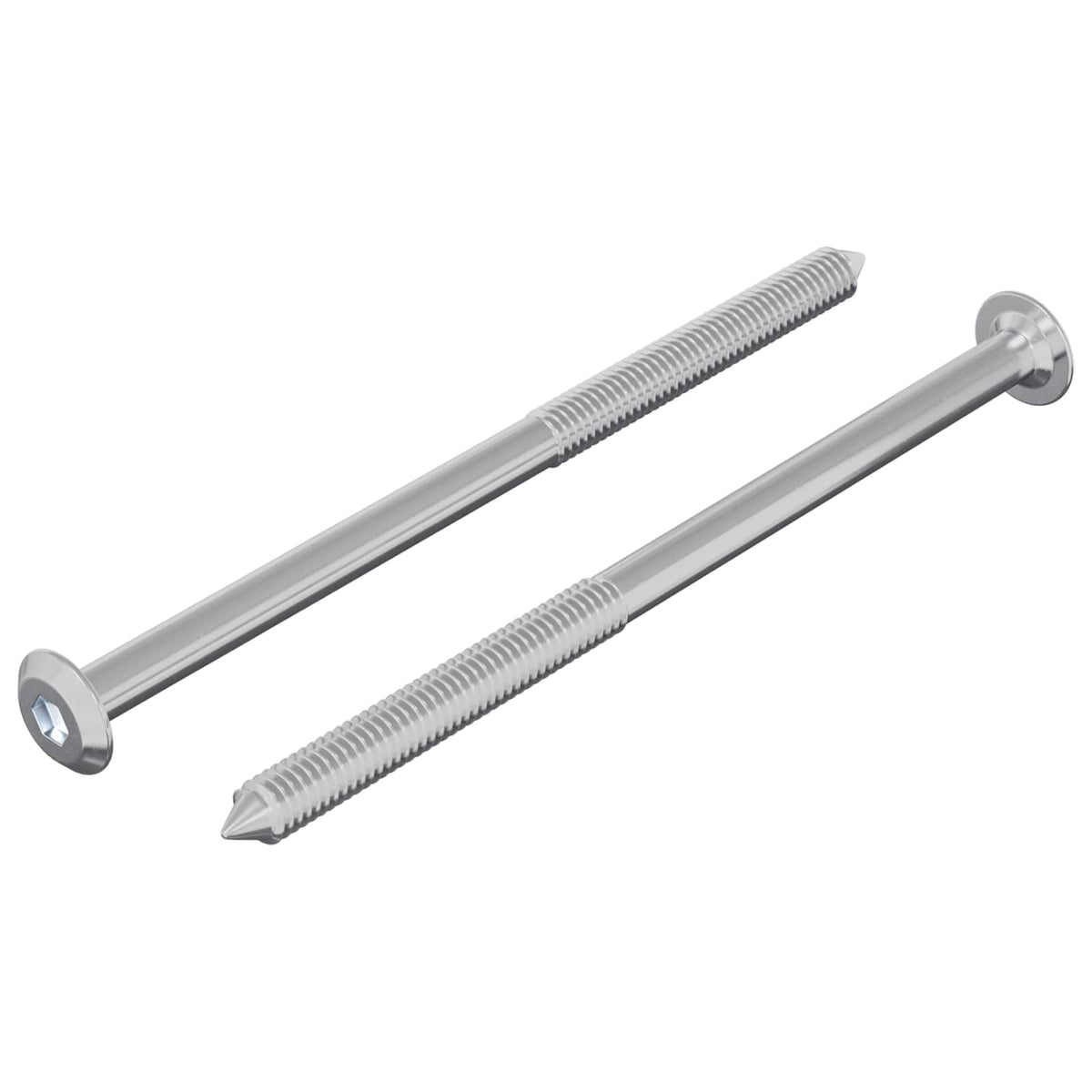 Vidaxxl Bolzen 2 Stück Silber M6 x 100 mm Stahl