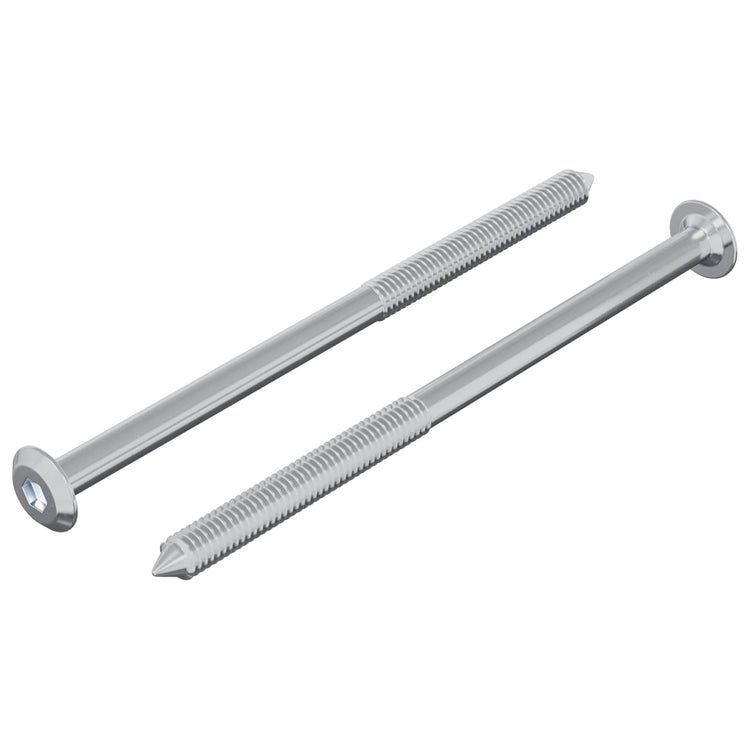 Vidaxxl Bolzen 2 Stück Silber M6 x 100 mm Stahl
