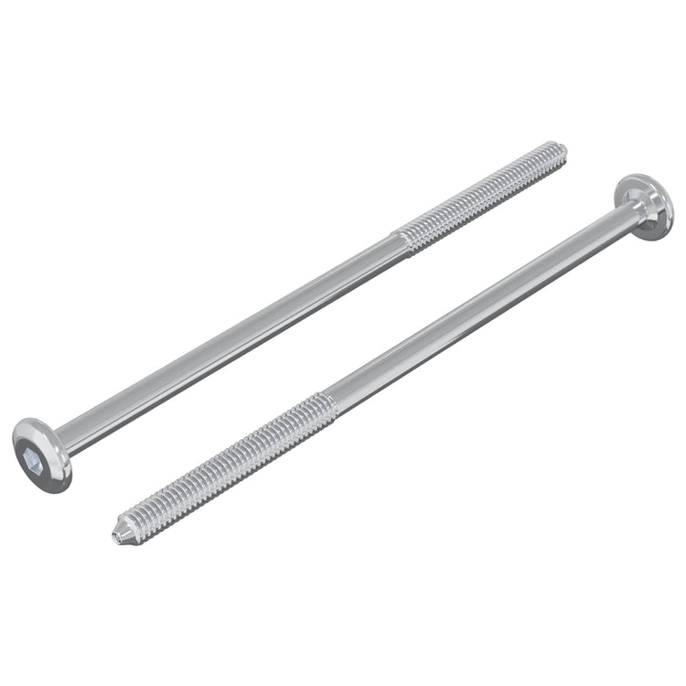 Vidaxxl Bolzen 2 Stück Silber M6 x 120 mm Stahl