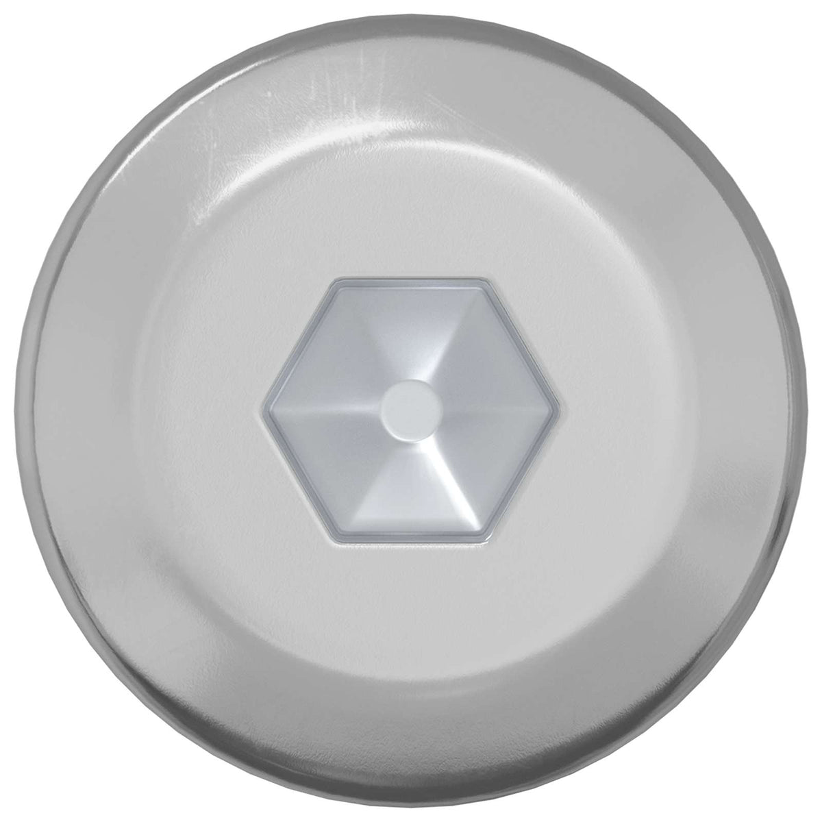 Vidaxxl Bolzen 2 Stück Silber M6 x 120 mm Stahl