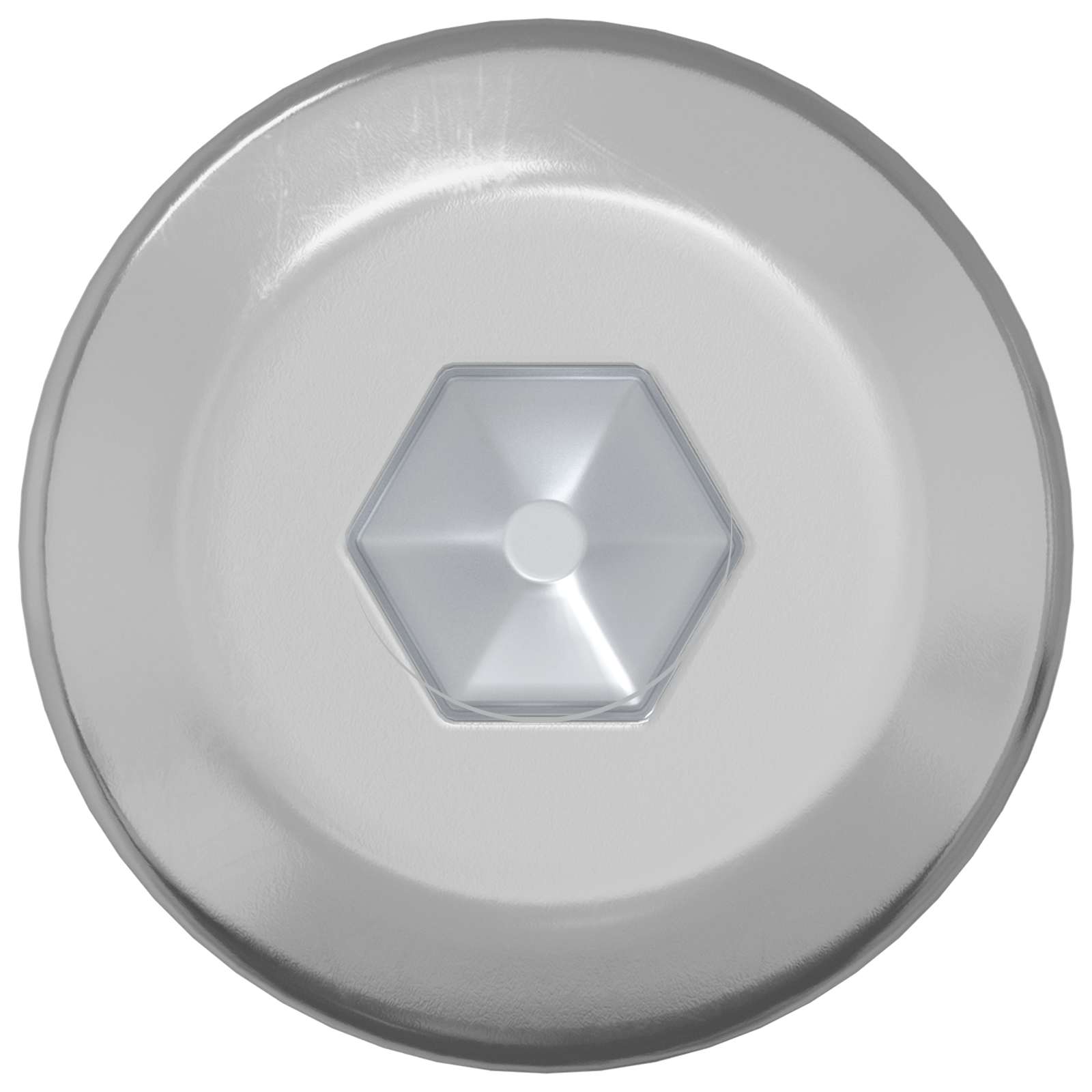 Vidaxl-Schraube 12 Stück Silber M6 x 120 mm Stahl