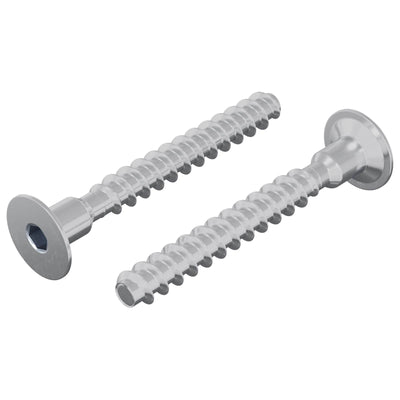 Vidaxl-Bolzen 2 Stück verzinktes 5 x 40 mm Eisen