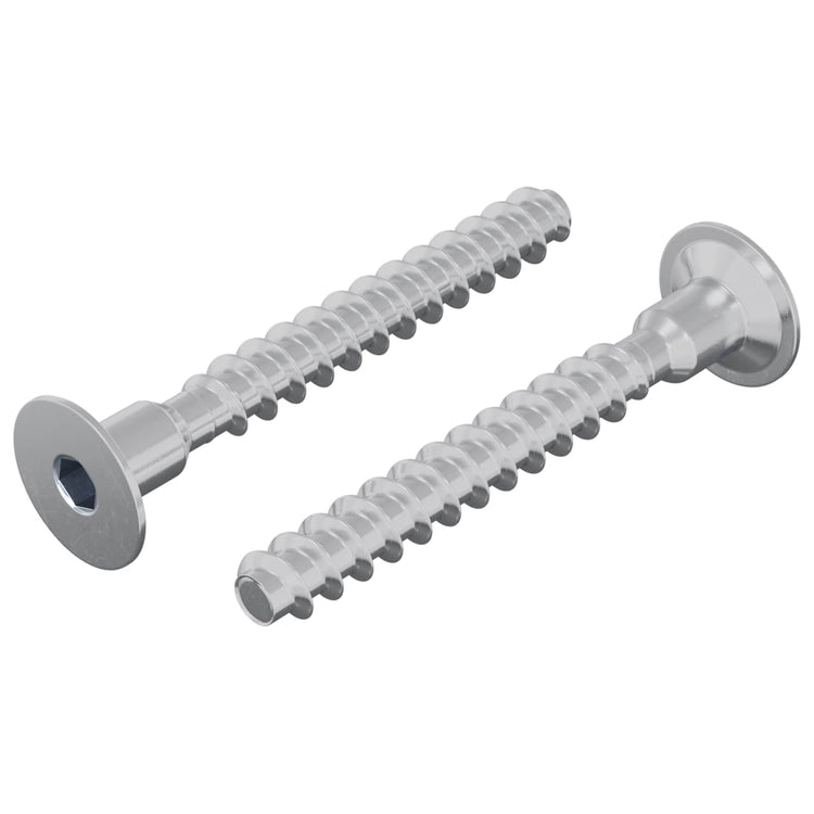Vidaxl-Bolzen 2 Stück verzinktes 5 x 40 mm Eisen
