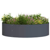 Vidaxl Pflanzenring Anthrazit 80 x 80 x 20 cm kaltgewalzter Stahl